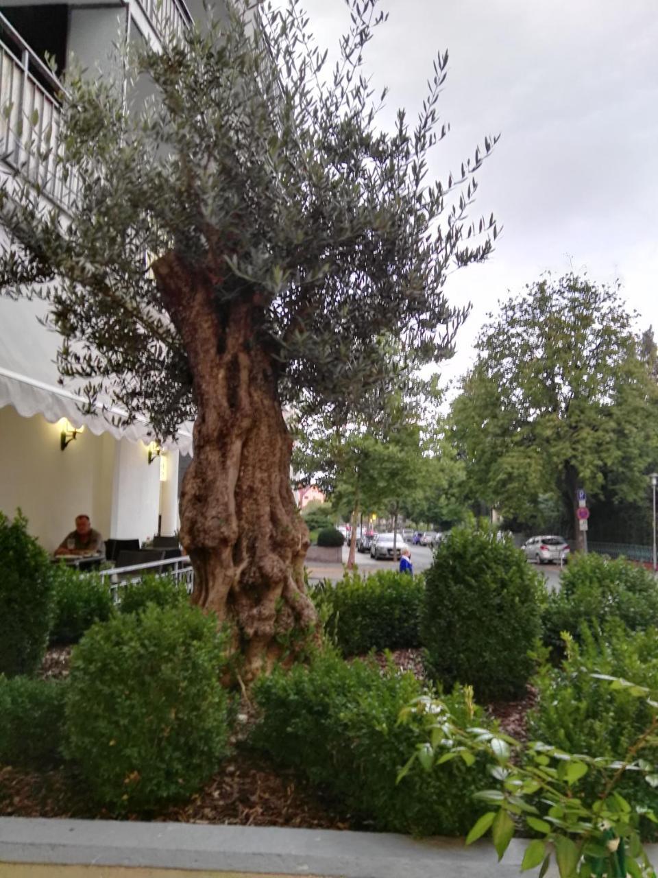 Hotel Carolinenhof Bad Pyrmont Exterior photo